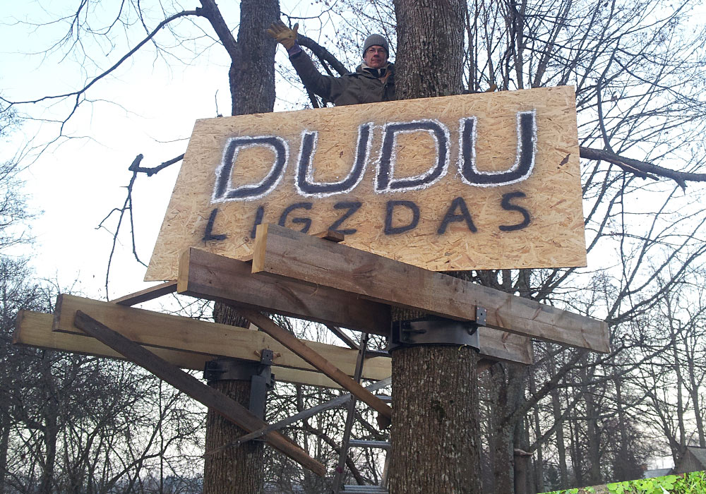 DUDU ligzdas kokā