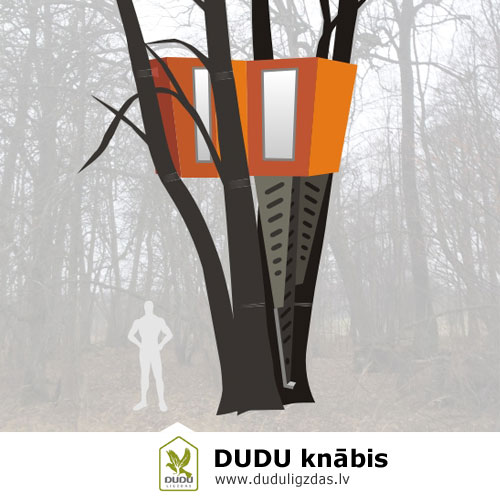 Māja kokos - DUDU knābis